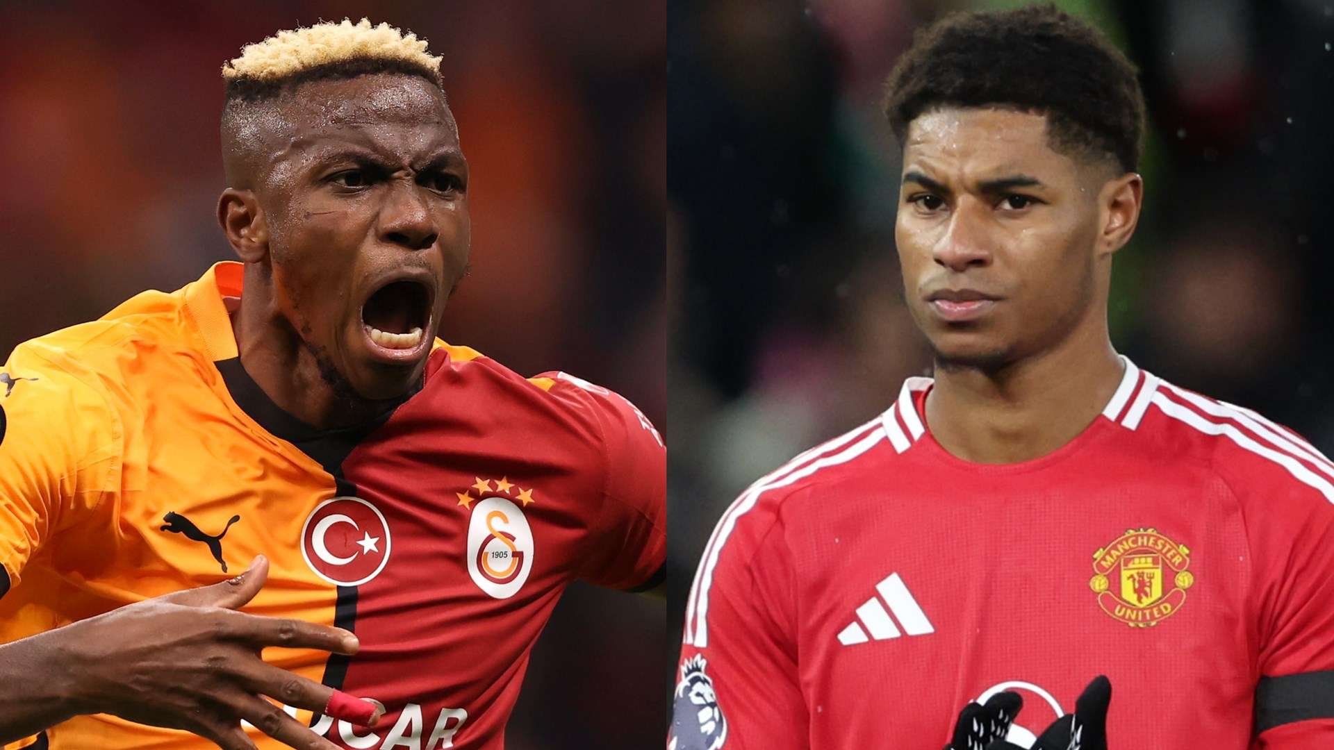 上分享着共 上分享着共