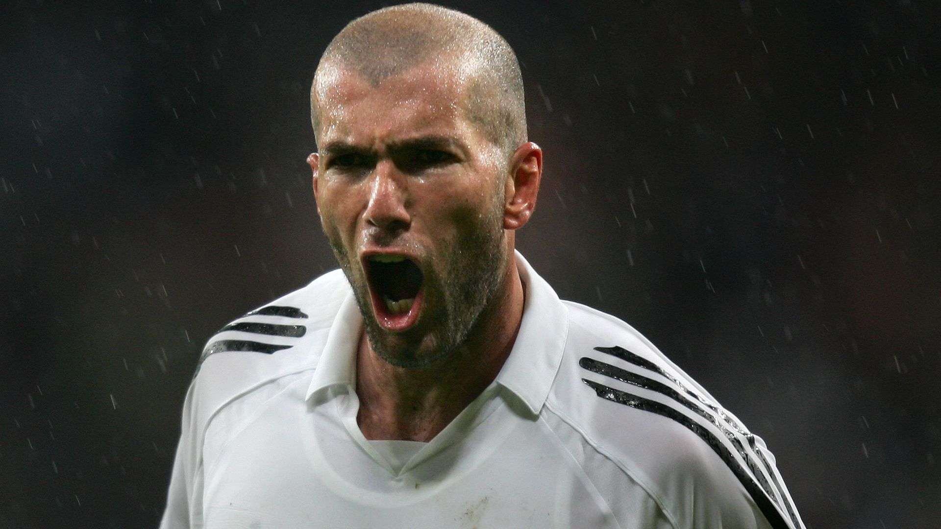 将一一展开 将一一展开