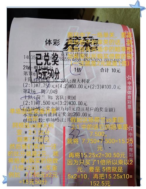 世界杯投注趣闻：成功的投注故事